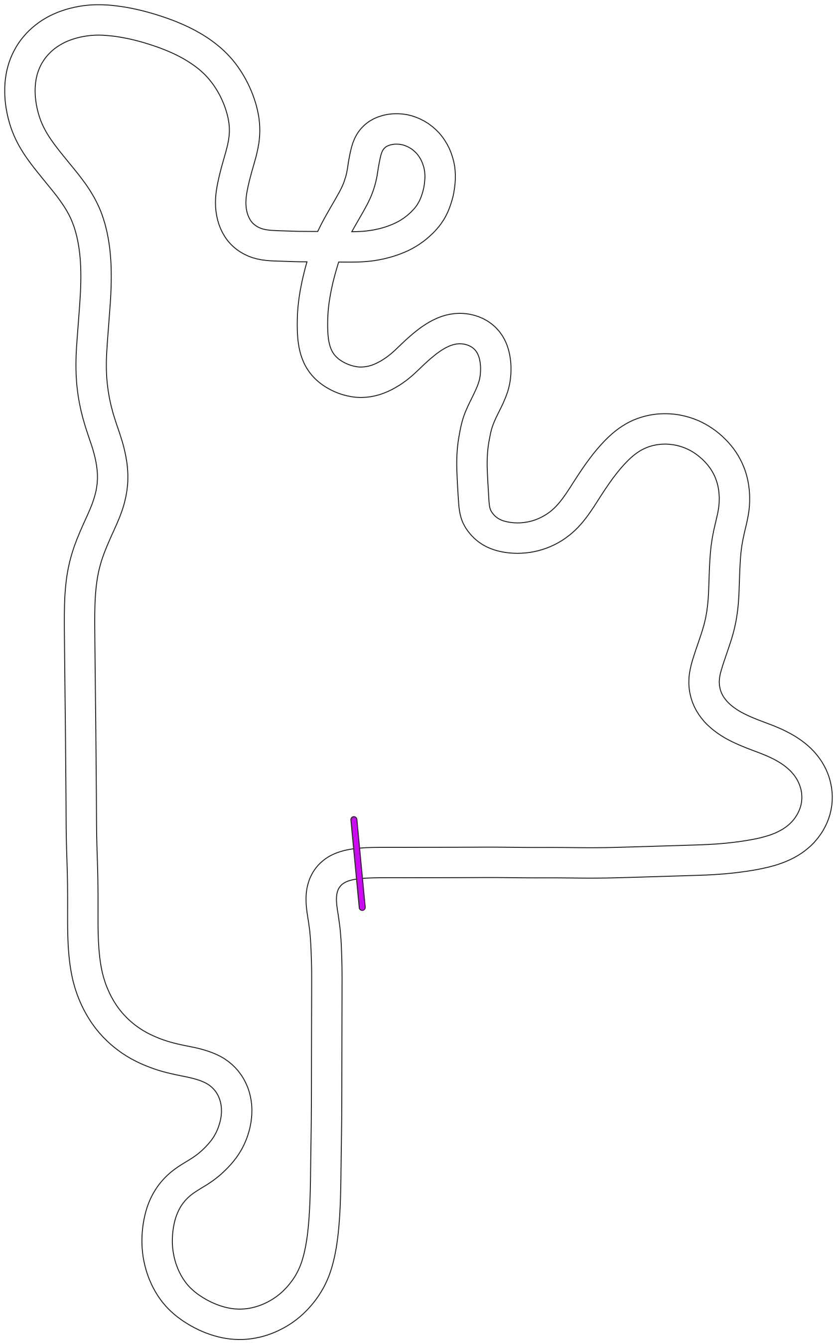 Circuit