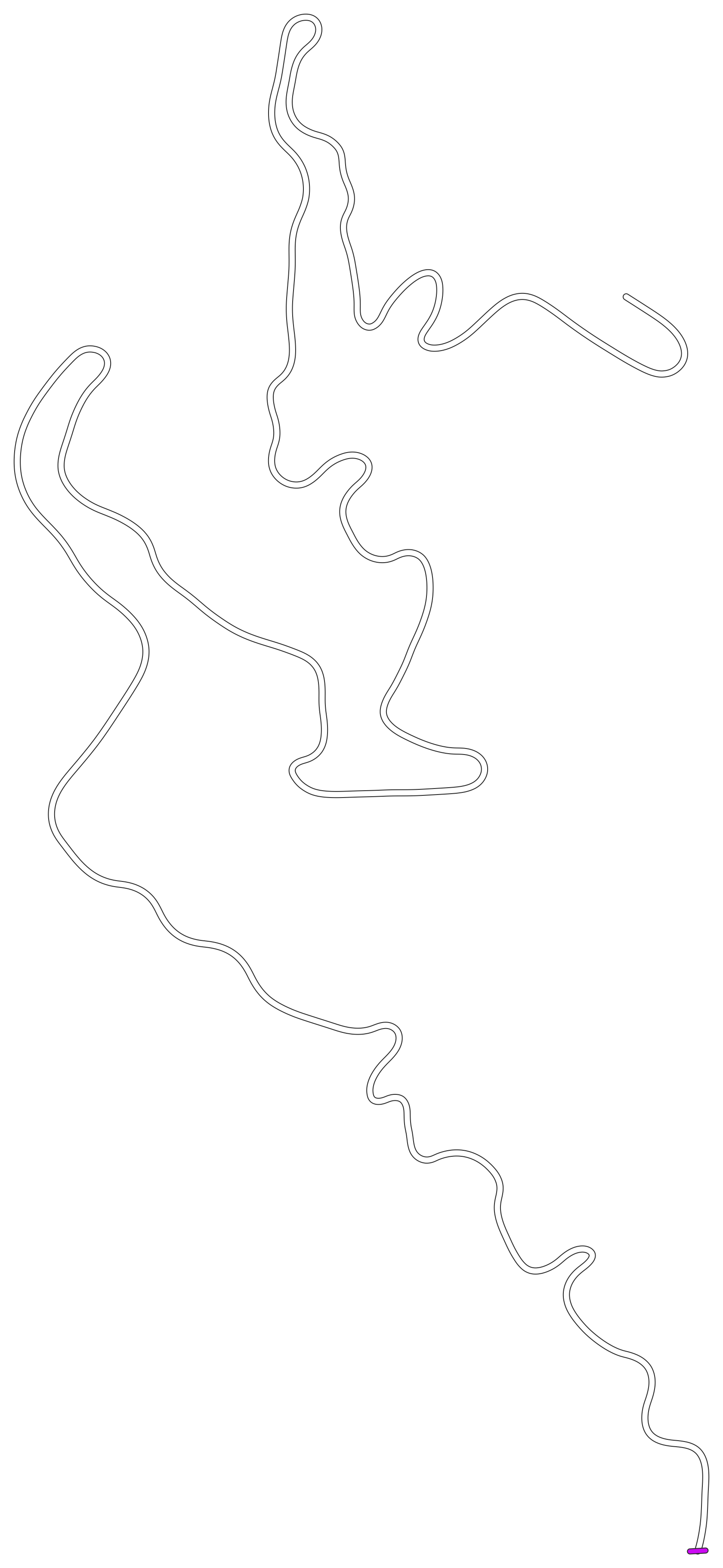 downhill_real