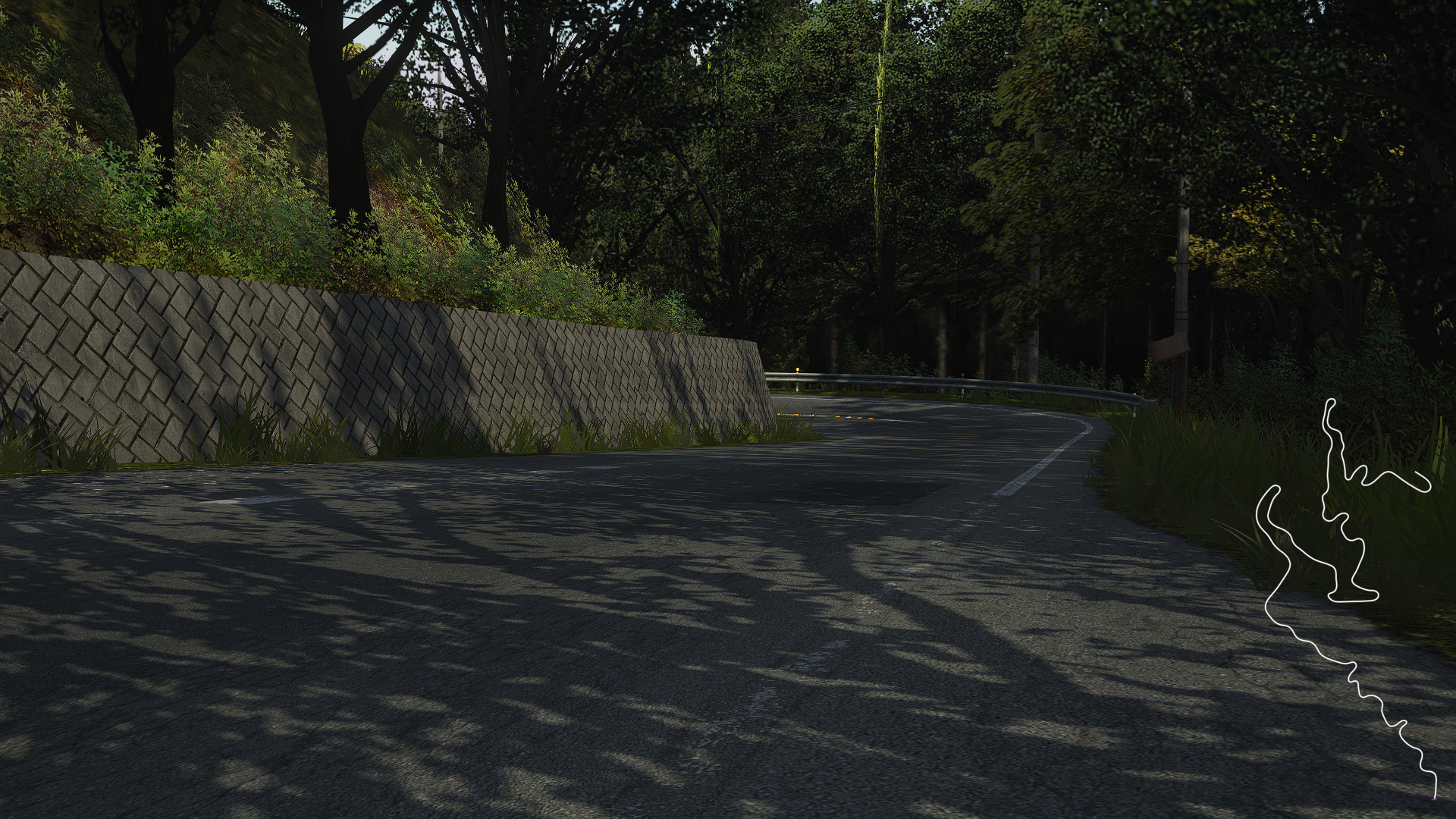 downhill_real