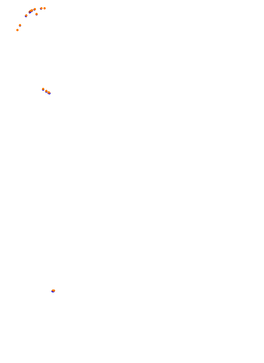 Nemuno Ziedas Fast Lap collisions
