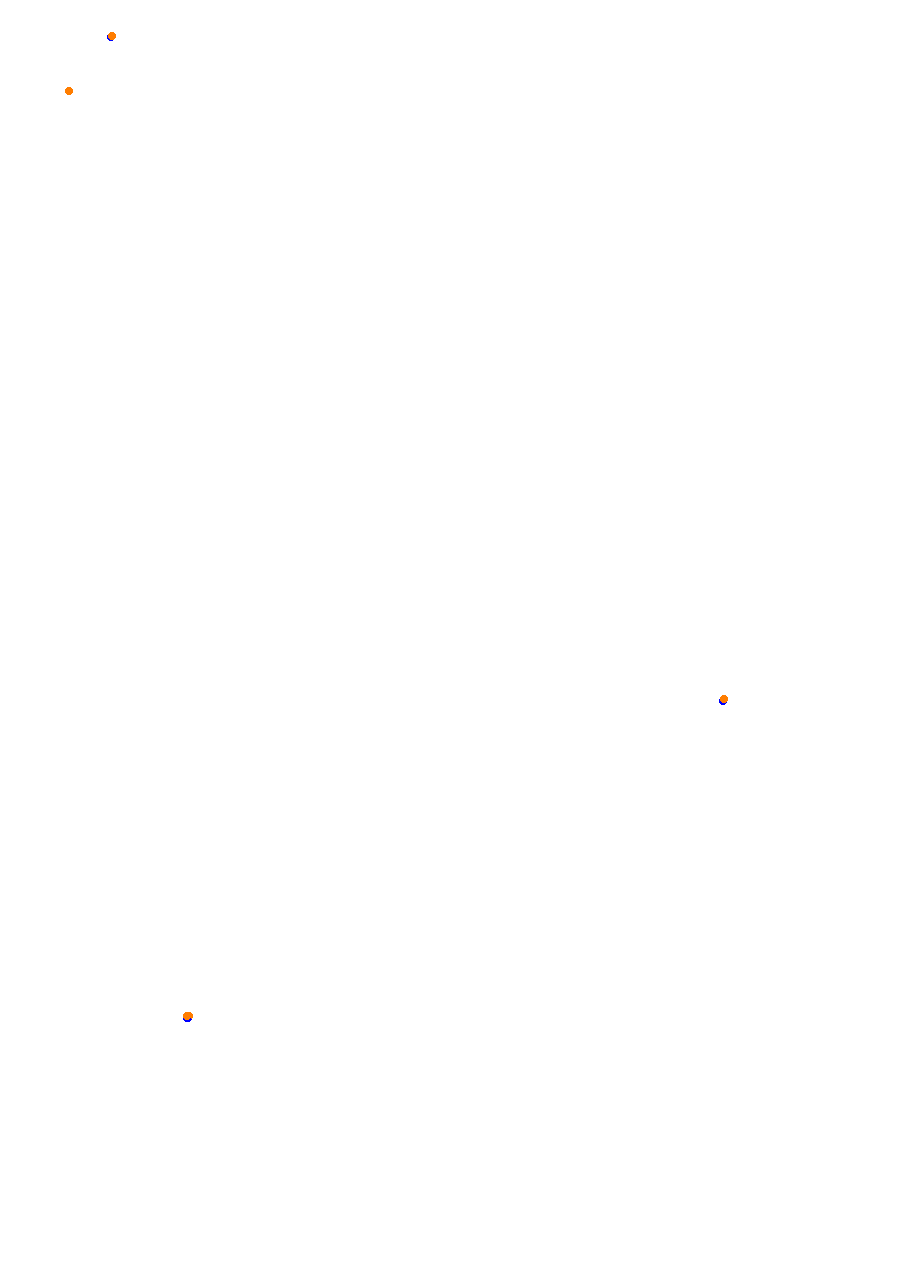 Nemuno Ziedas Fast Lap collisions