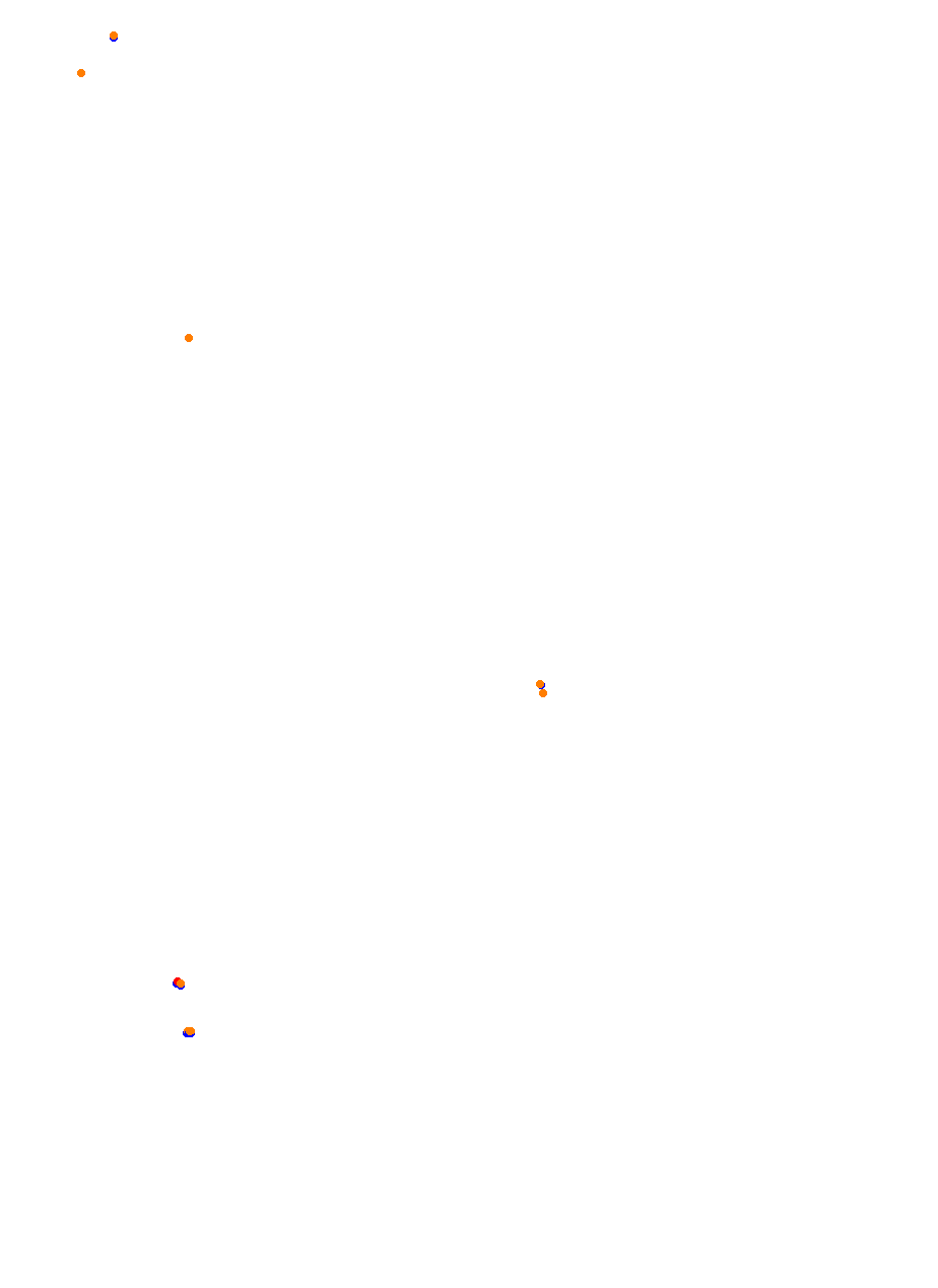 Nemuno Ziedas Fast Lap collisions