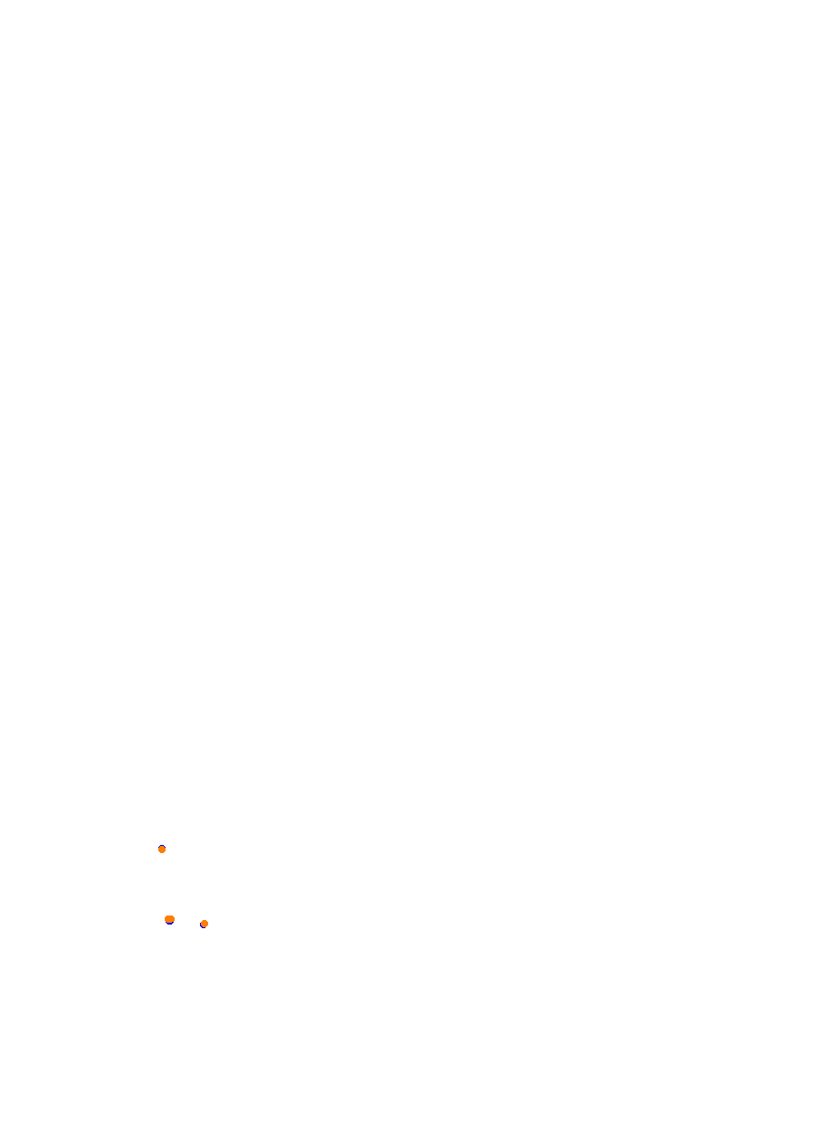Nemuno Ziedas Fast Lap collisions