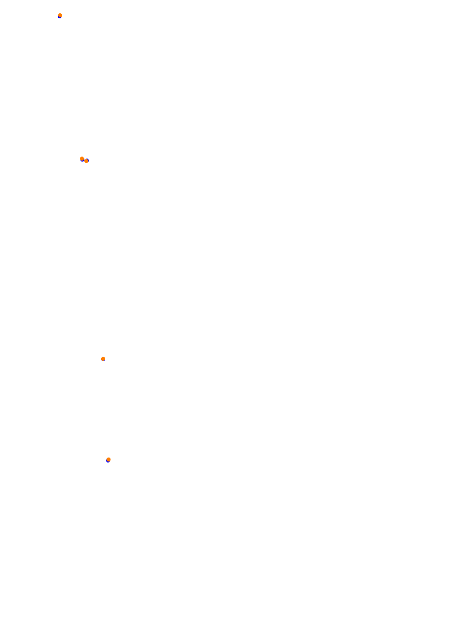 Nemuno Ziedas Fast Lap collisions