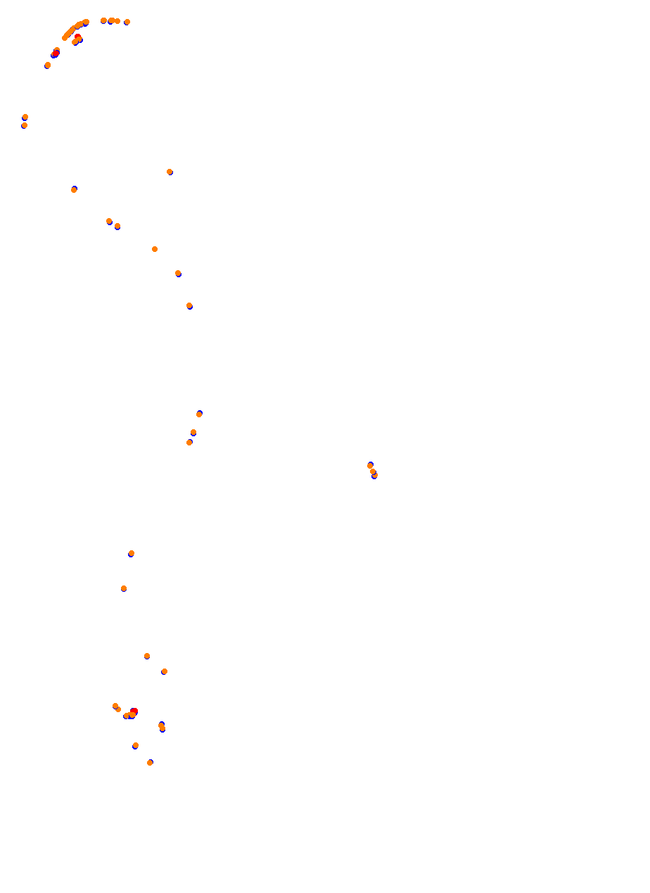 Nemuno Ziedas Fast Lap collisions