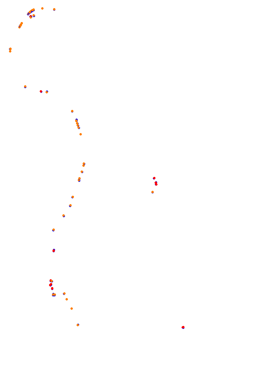 Nemuno Ziedas Fast Lap collisions