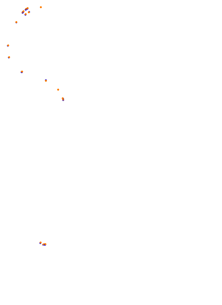 Nemuno Ziedas Fast Lap collisions