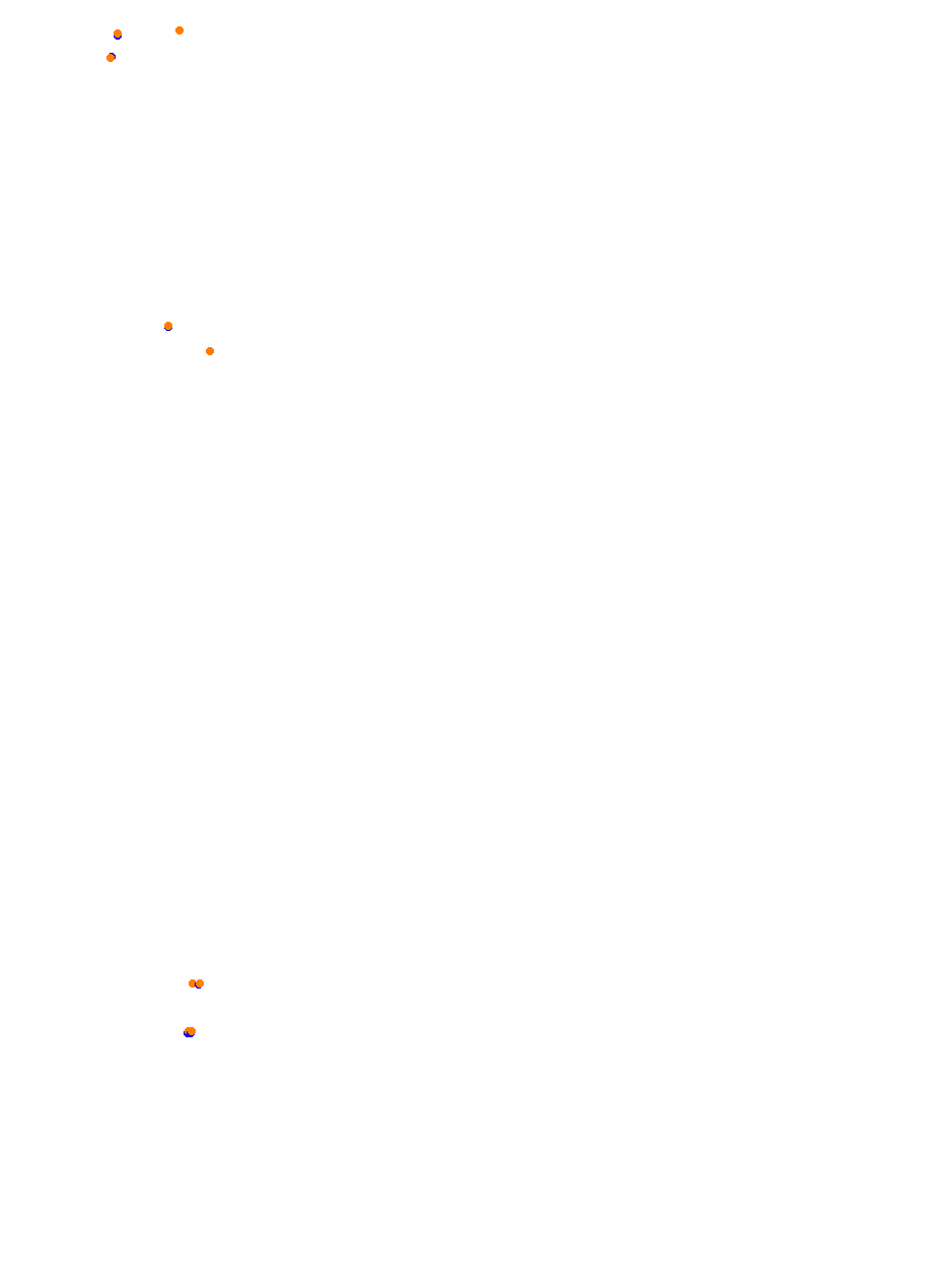Nemuno Ziedas Fast Lap collisions