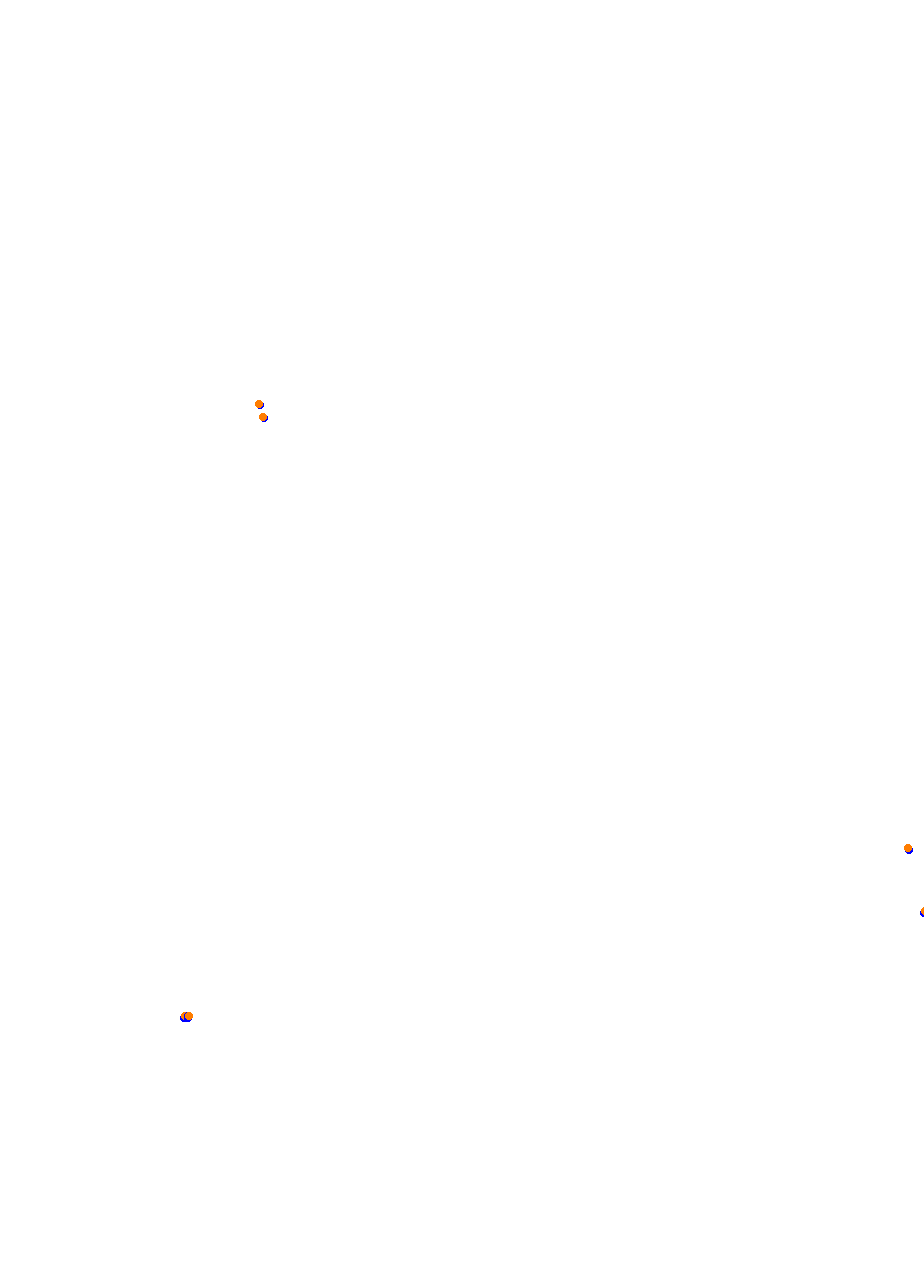 Nemuno Ziedas Fast Lap collisions