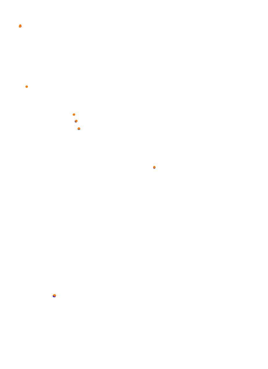 Nemuno Ziedas Fast Lap collisions