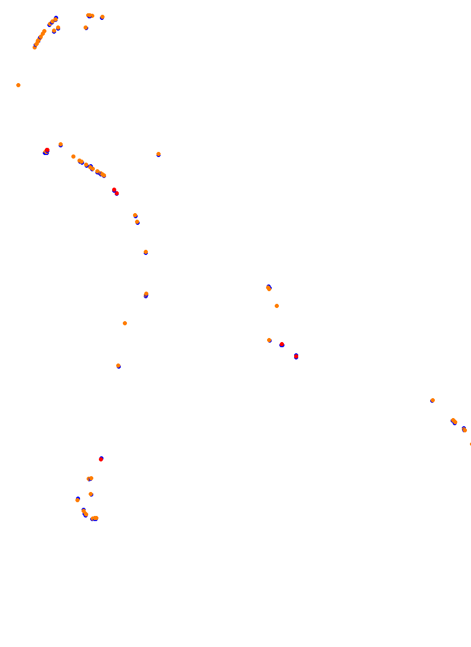 Nemuno Ziedas Fast Lap collisions