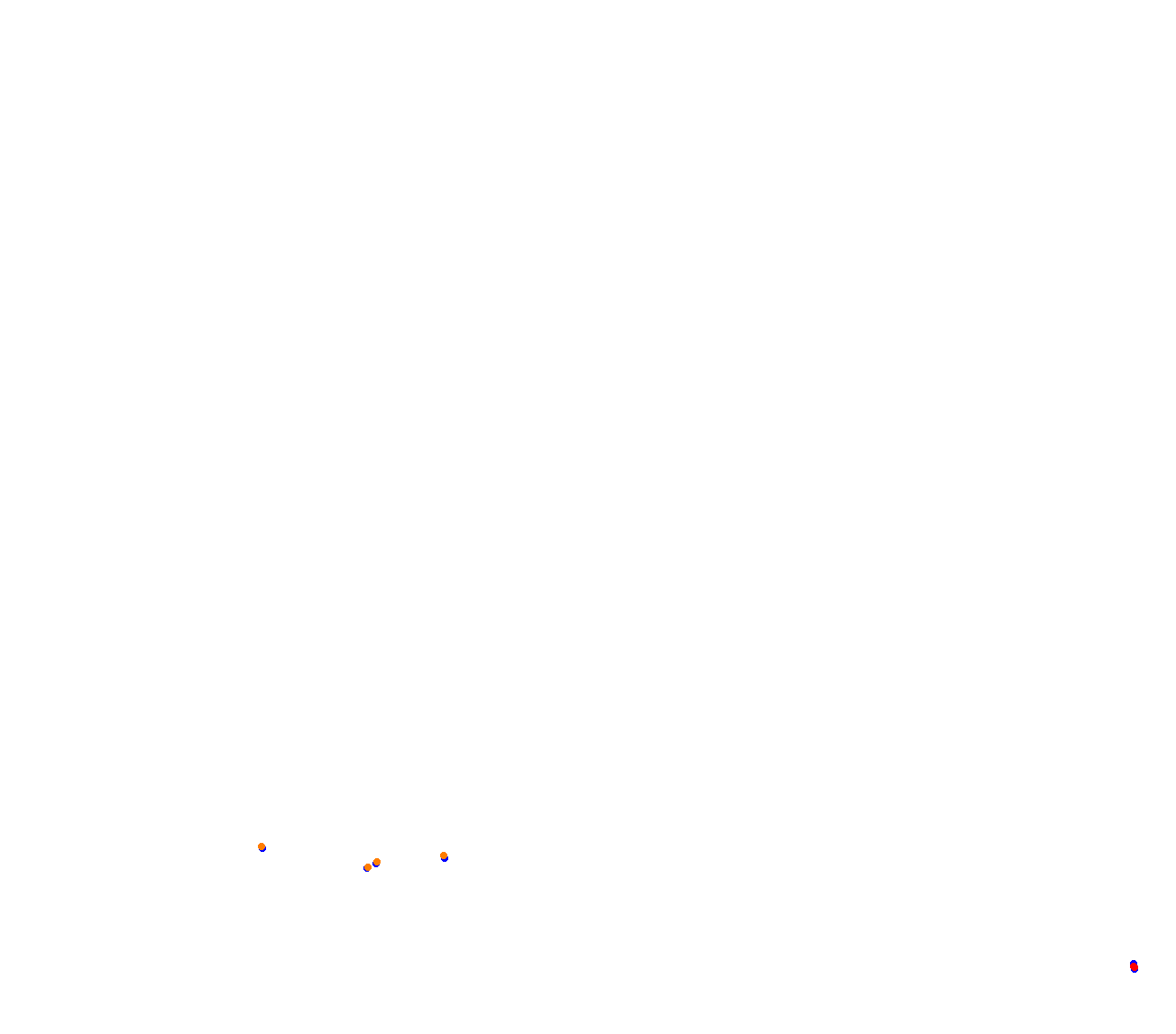 Shanghai 2024 collisions