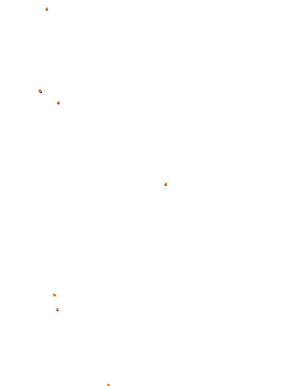 Nemuno Ziedas Fast Lap collisions