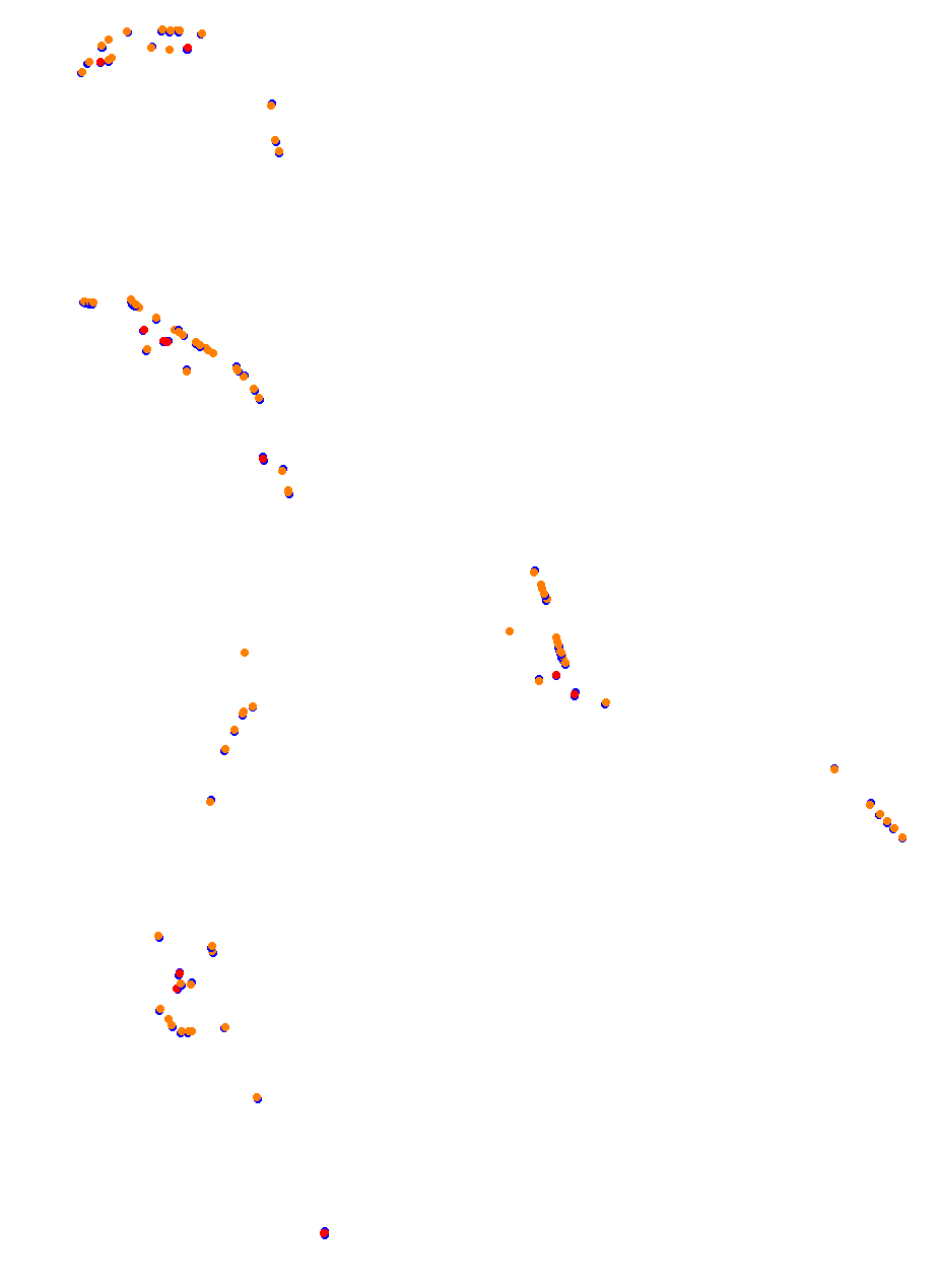 Nemuno Ziedas Fast Lap collisions