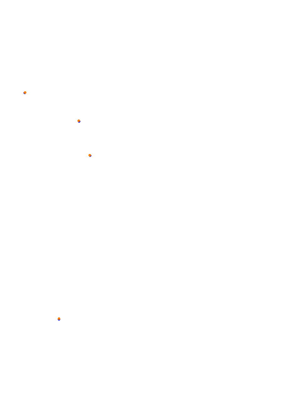 Nemuno Ziedas Fast Lap collisions