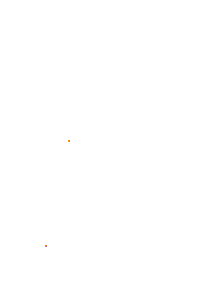Nemuno Ziedas Fast Lap collisions