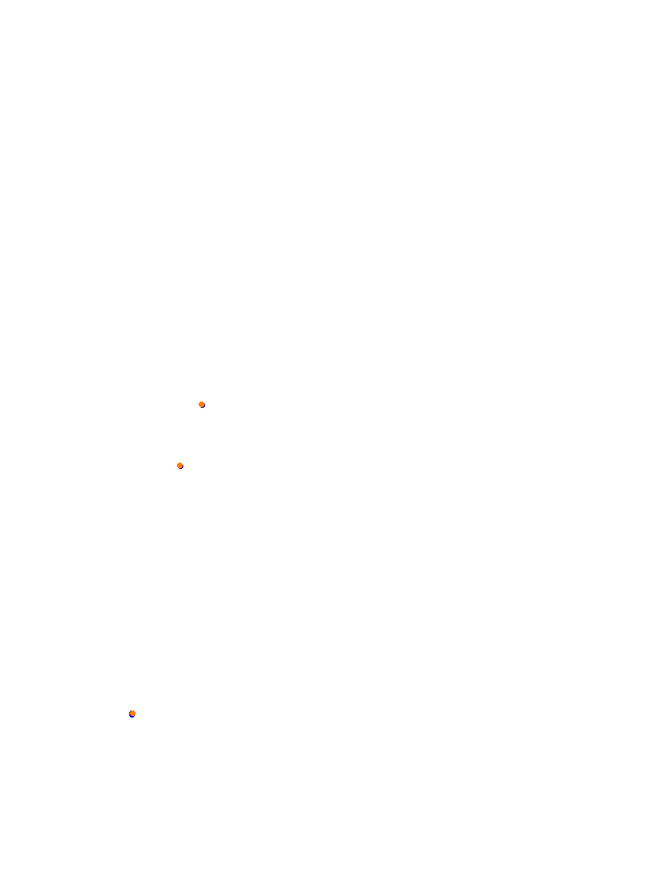 Nemuno Ziedas Fast Lap collisions