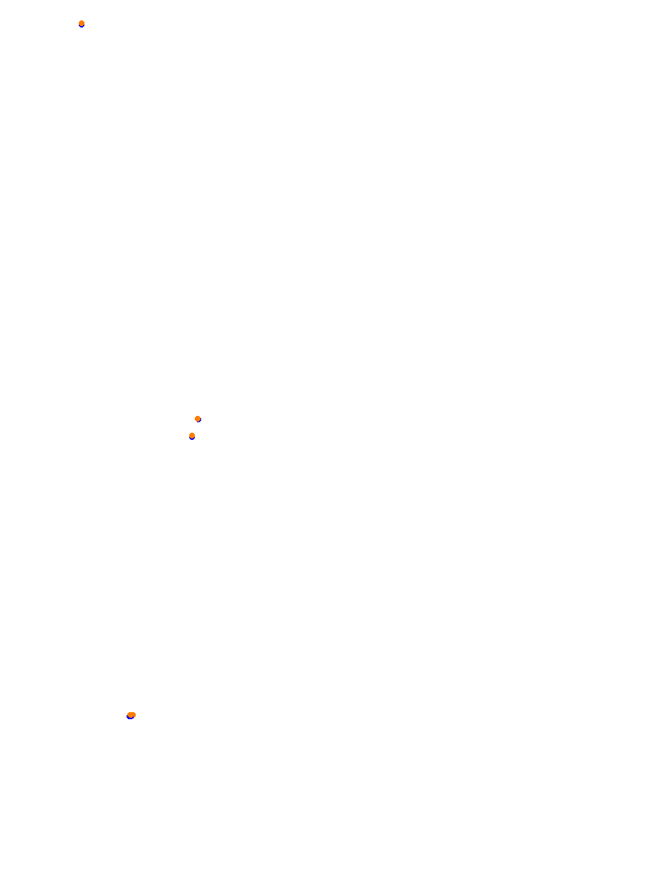 Nemuno Ziedas Fast Lap collisions