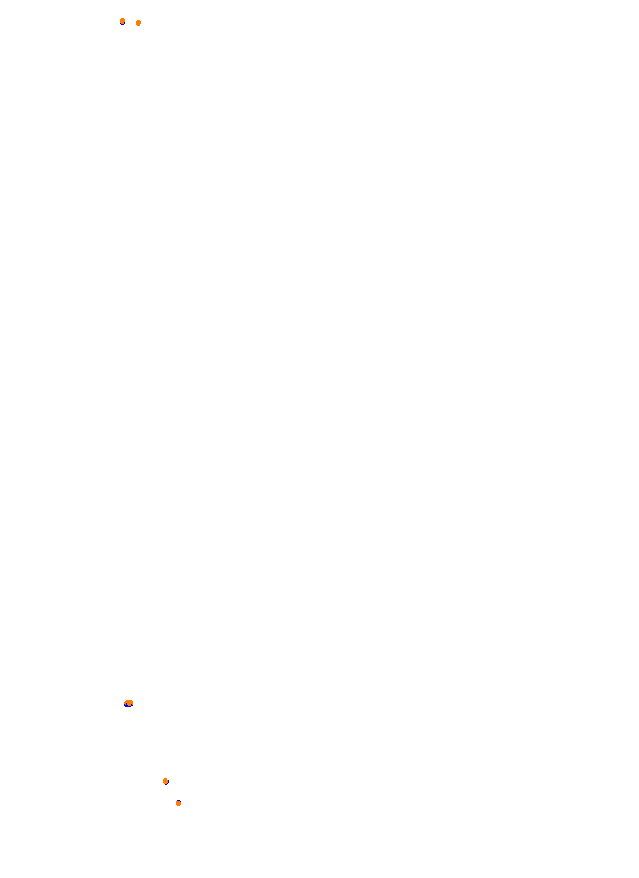 Nemuno Ziedas Fast Lap collisions