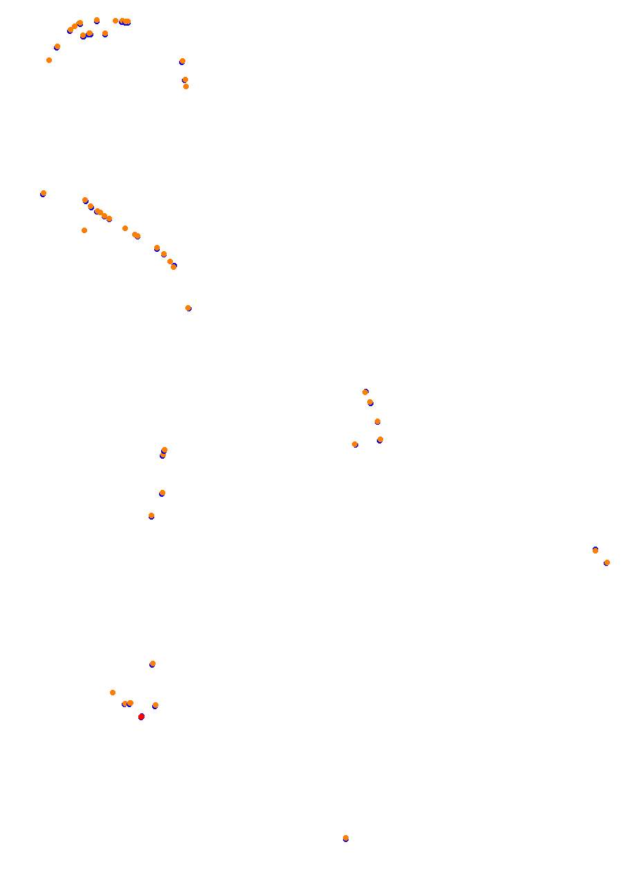 Nemuno Ziedas Fast Lap collisions