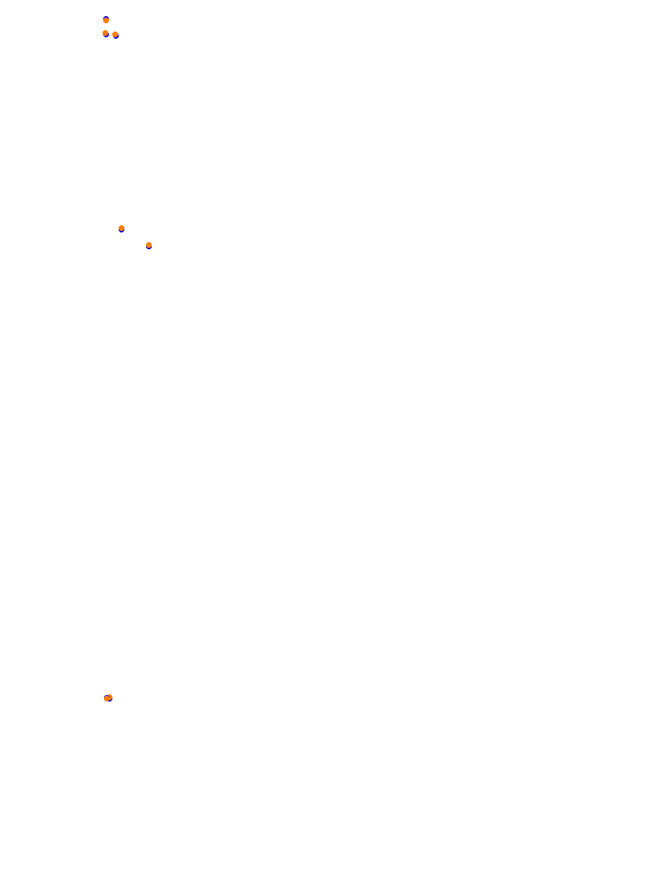 Nemuno Ziedas Fast Lap collisions