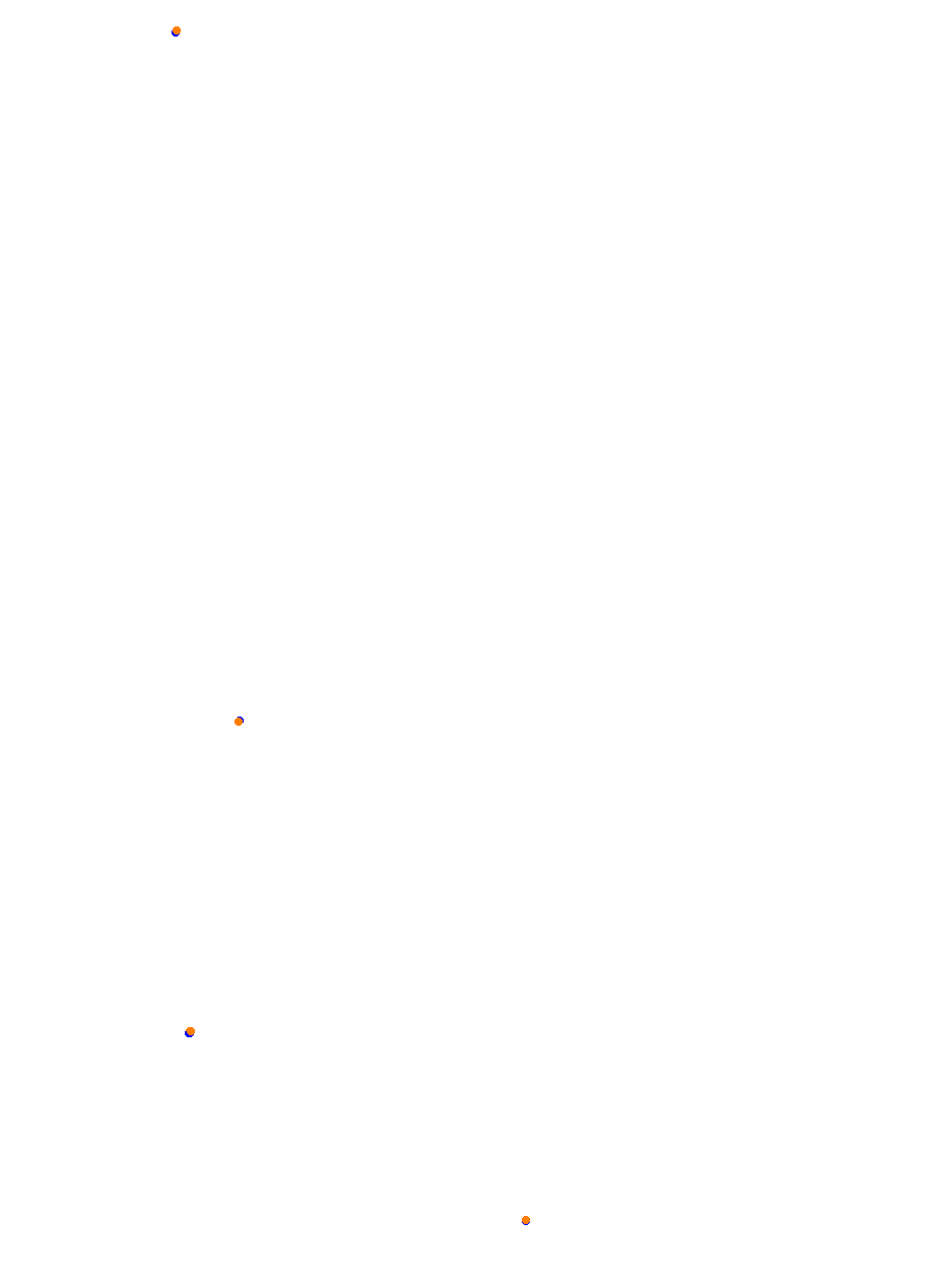 Nemuno Ziedas Fast Lap collisions
