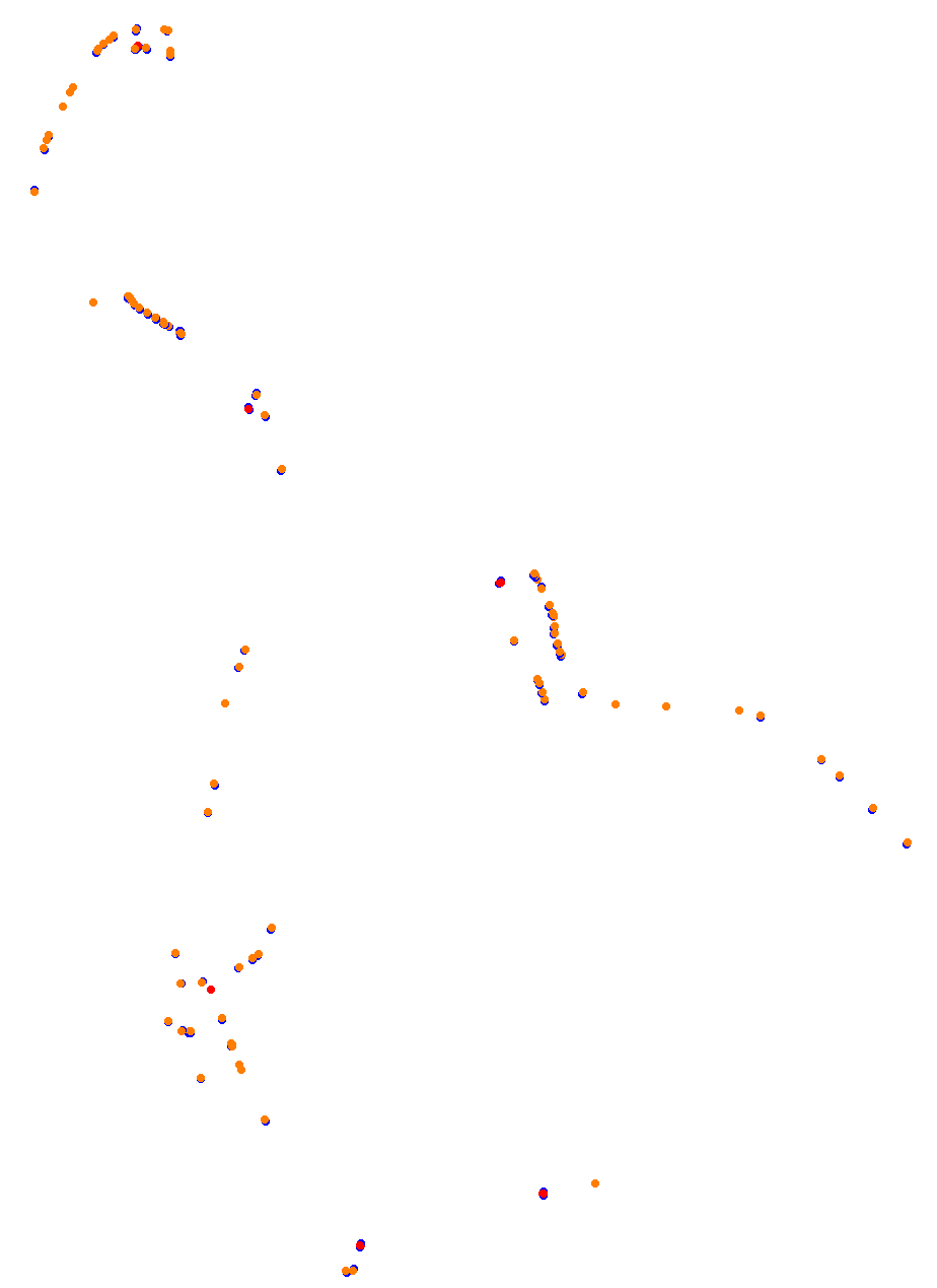 Nemuno Ziedas Fast Lap collisions